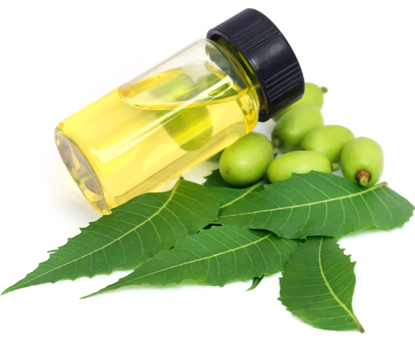 Neem Oil