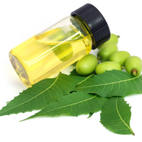 Neem Oil