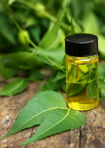 Neem Oil