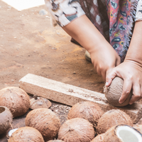 The Coco Bowl Set